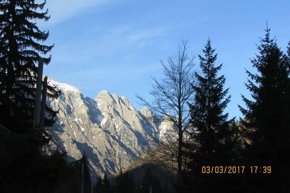 Valbona Eco Camping Hotel Екстериор снимка