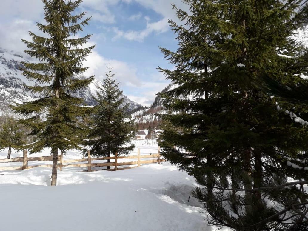 Valbona Eco Camping Hotel Екстериор снимка